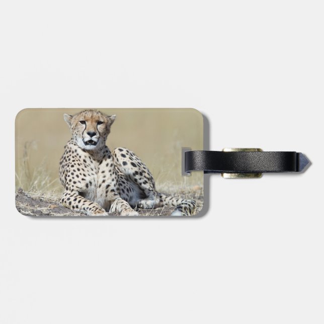Cheetah Gepäckanhänger (Rückseite horizontal)