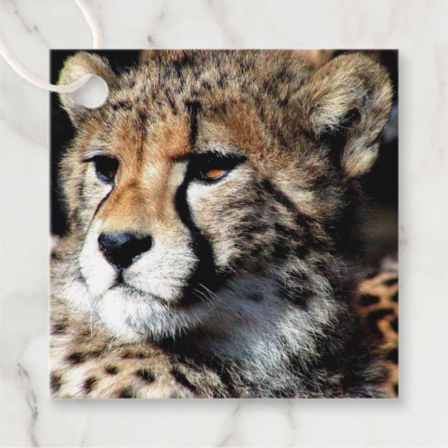 Cheetah Geschenkanhänger (Vorderseite)