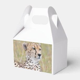 Cheetah Geschenkschachtel