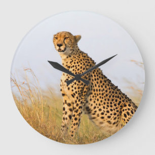 Cheetah Große Wanduhr