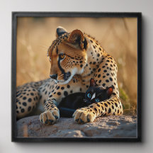 Cheetah Guardian, Kätzchen Herz
