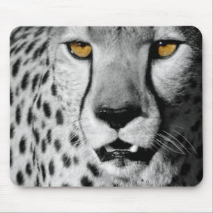 Cheetah in black and white mousepad