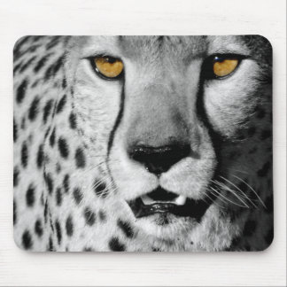 Cheetah in black and white mousepad