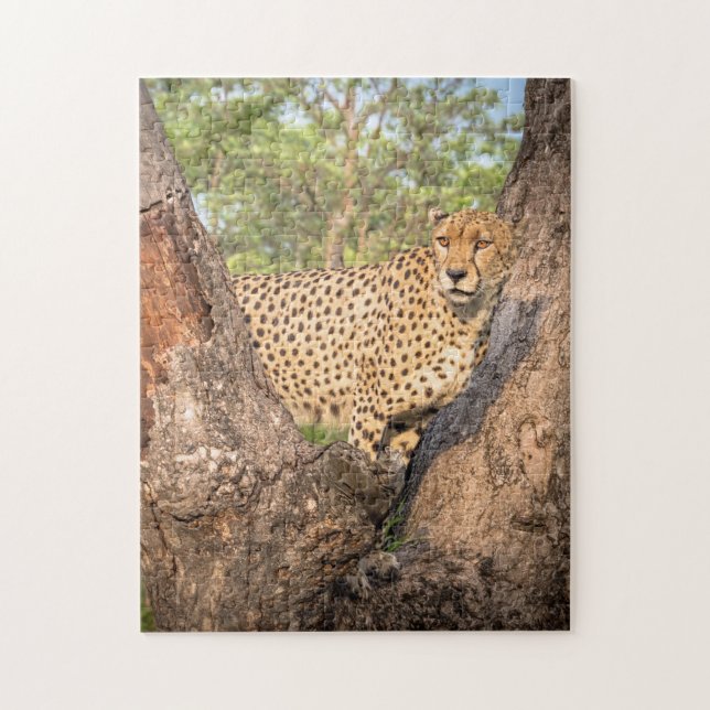 Cheetah in Tree Puzzle (Vertical)