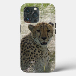 Cheetah iPhone / iPad Gehäuse Case-Mate iPhone Hülle