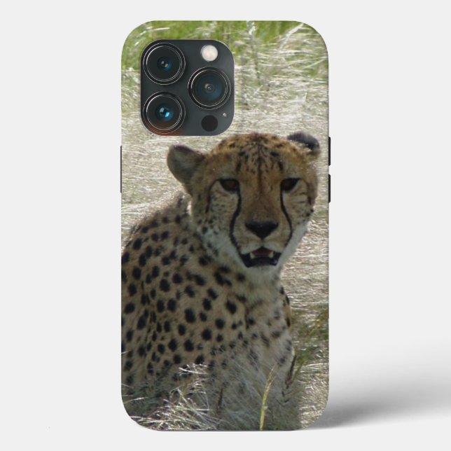 Cheetah iPhone / iPad Gehäuse Case-Mate iPhone Hülle (Rückseite)