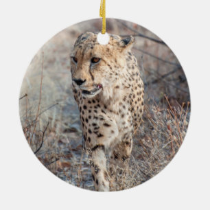 Cheetah Junting Keramik Ornament