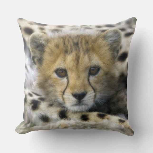 Cheetah Kissen (Vorderseite)