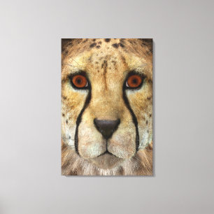 Cheetah Leinwanddruck