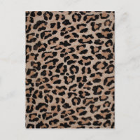 Cheetah Leopard