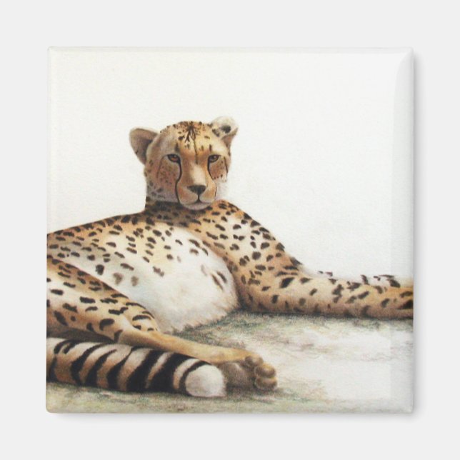 Cheetah Magnet (Vorne)