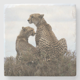 Cheetah Mama und Cub (Vollfarbe) Stein Untersetzer