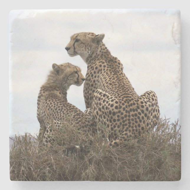 Cheetah Mama und Cub (Vollfarbe) Stein Untersetzer (Vorderseite)
