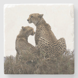 Cheetah Mama und Cube Stone Untersetzer