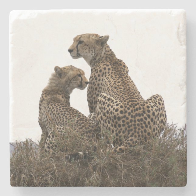Cheetah Mama und Cube Stone Untersetzer (Vorderseite)