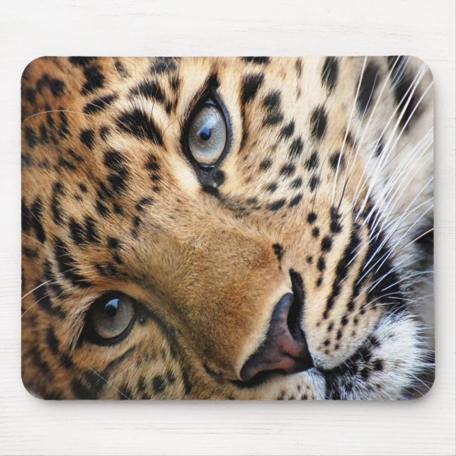 Cheetah Mousepad (Vorne)