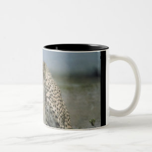 Cheetah Mug