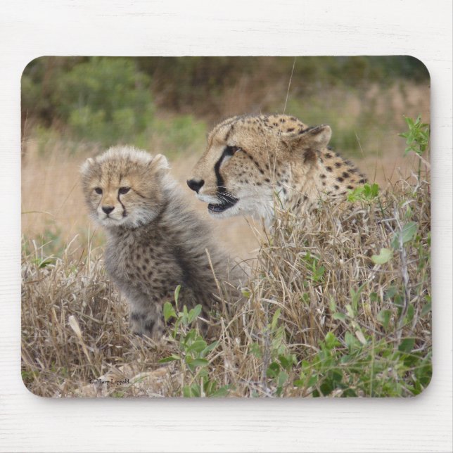 Cheetah Mutter und Cub Mousepad (Vorne)