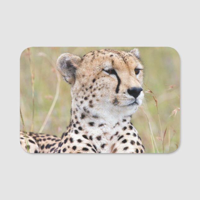 Cheetah Namensschild (Vorderseite)