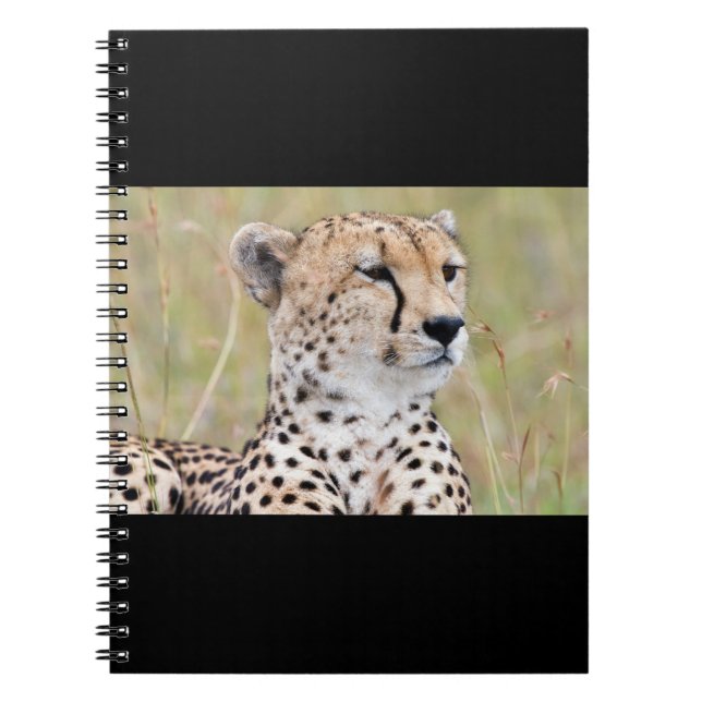 Cheetah Notizblock (Vorderseite)
