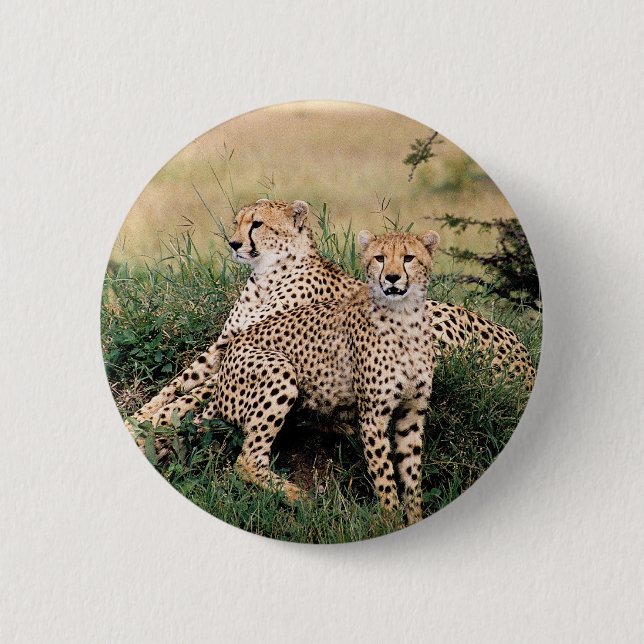 Cheetah Pair Button (Vorderseite)