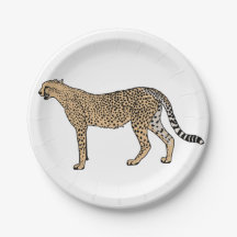 Cheetah