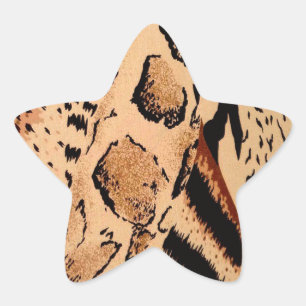 Cheetah Pattern Stern-Aufkleber