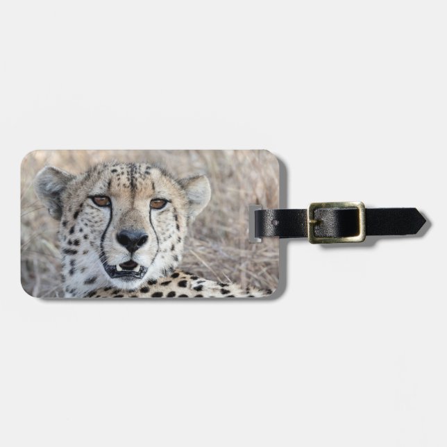 Cheetah Portrait Gepäckanhänger (Vorderseite horizontal)