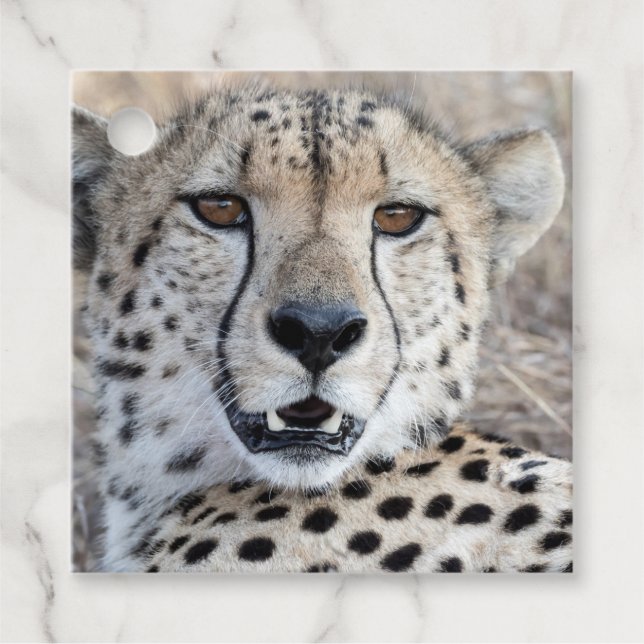 Cheetah Portrait Geschenkanhänger (Vorderseite)