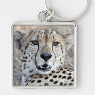 Cheetah Portrait Schlüsselanhänger