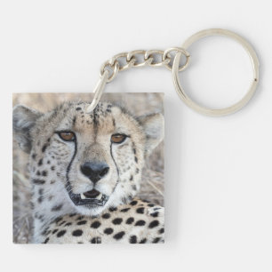 Cheetah Portrait Schlüsselanhänger