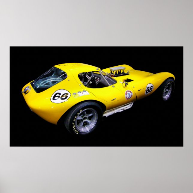 Cheetah! Poster (Vorne)