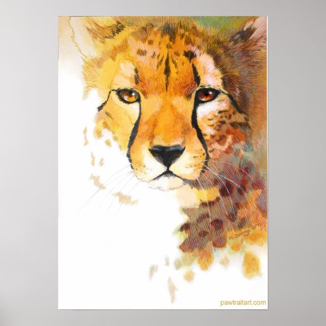 Cheetah! Poster (Vorne)