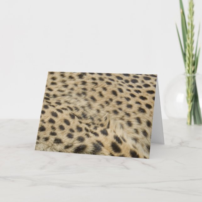 Cheetah Print Karte (Vorderseite)