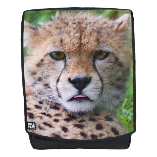 Cheetah Rucksack (Vorderseite)