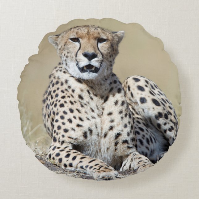 Cheetah Rundes Kissen (Vorderseite)