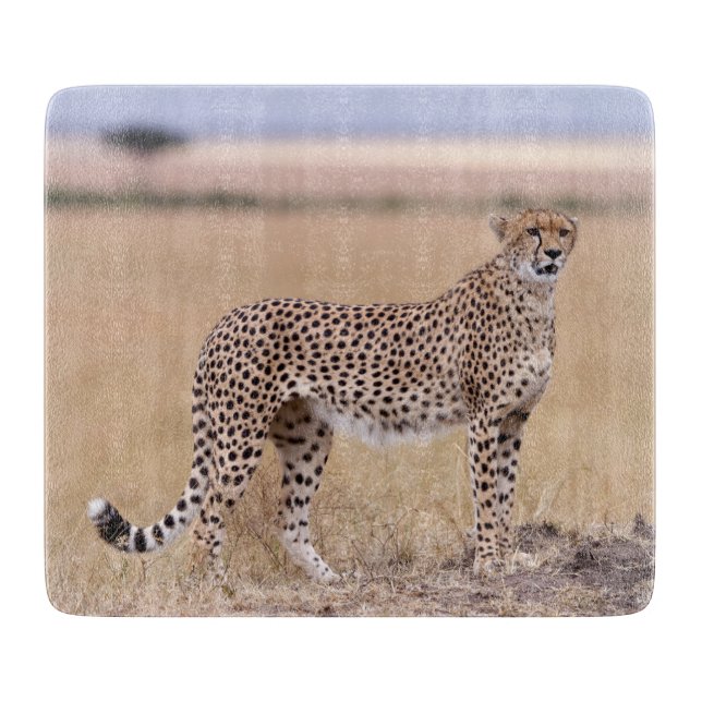 Cheetah Schneidebrett (Vorderseite)