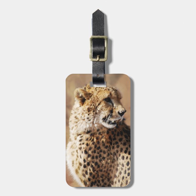 Cheetah Schönheit mit Reißzähnen Gepäckanhänger (Vorderseite vertikal)