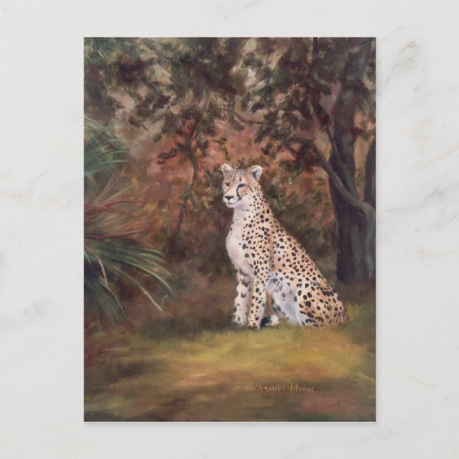 Cheetah Sitting Proud Postkarte (Vorderseite)