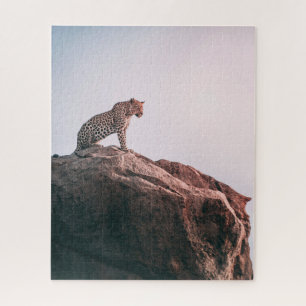 Cheetah sitzt auf einem Felsen Big Cat Wildlife