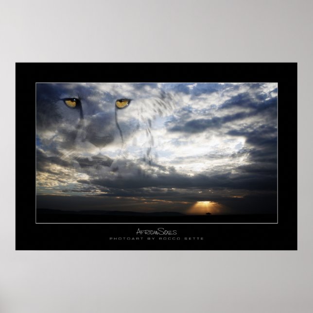 Cheetah Spirit Poster (Vorne)