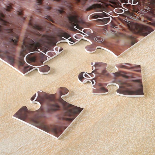 Cheetah Stare (Seite)