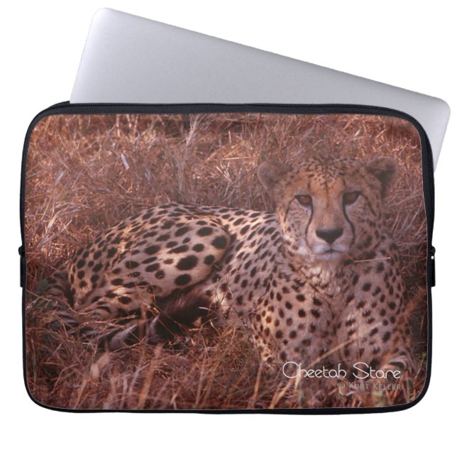Cheetah Stare Laptopschutzhülle (Vorderseite)
