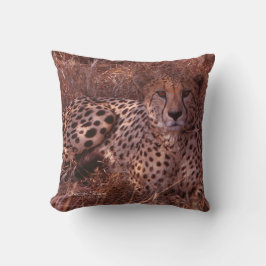 Cheetah Stare Pillow Kissen