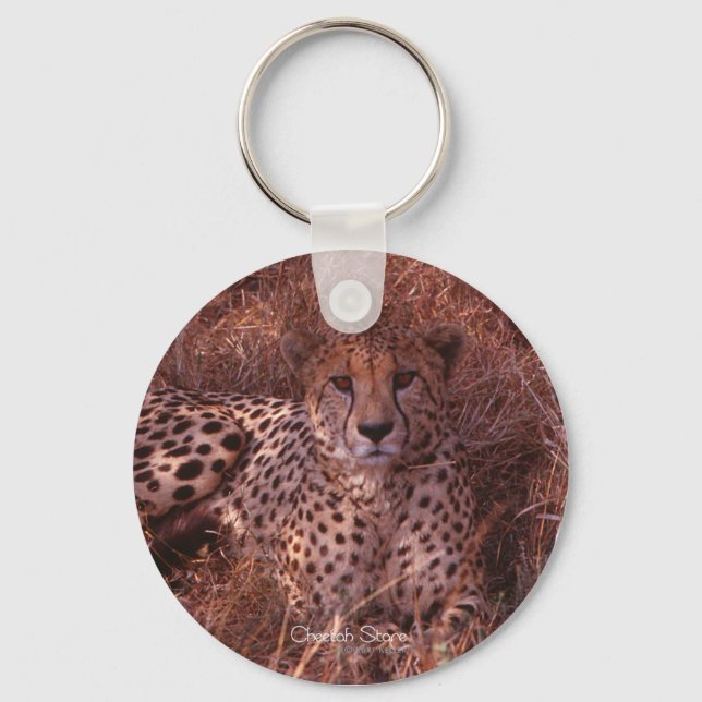 Cheetah Stare Schlüsselanhänger (Vorderseite)