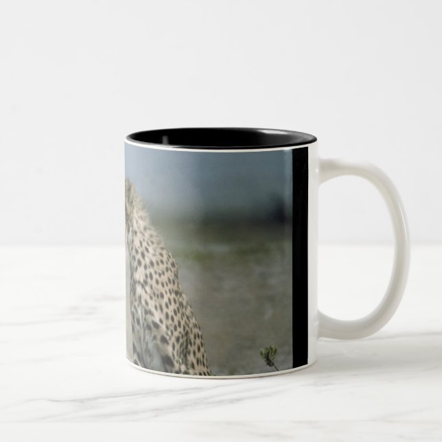 Cheetah Tasse (Rechts)
