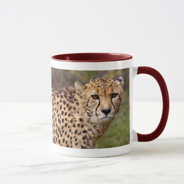 Cheetah Tasse (Rechts)