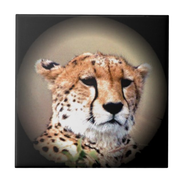 Cheetah Tear Marks Hakunamatata Fliese (Vorderseite)