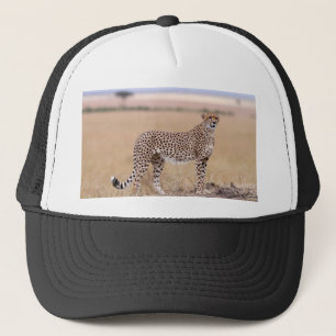 Cheetah Truckerkappe