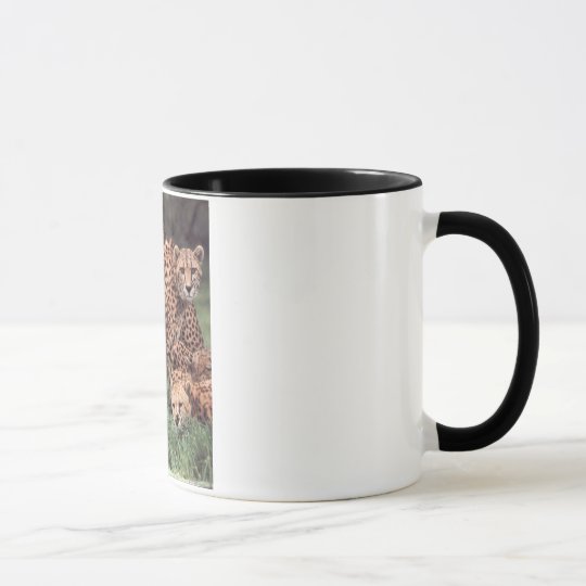 Cheetahfamilien-Tasse Tasse